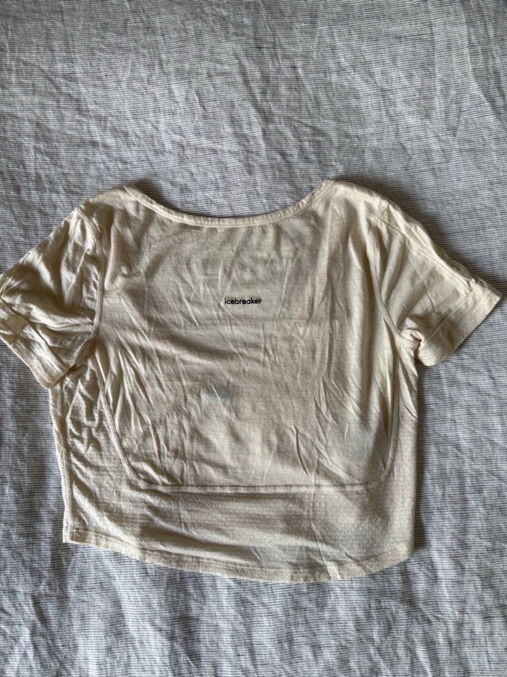 Icebreaker Women's Cream Short Sleeve Scoop Neck crop Top